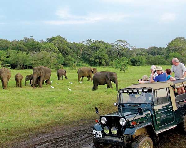 Sawa Travels Sri Lanka - Minneriya - 2 Days Tours