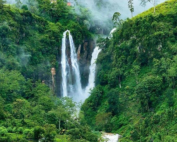 Sawa Travels Sri Lanka - Nuwara Eliya - 1 Day Tours