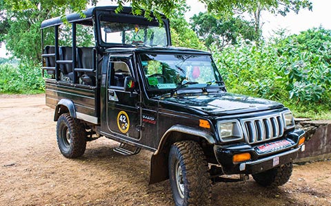 sawa travels sri lanka - Safari jeep, transportation, vehicles