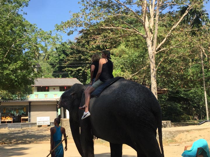sawa travels srilanka