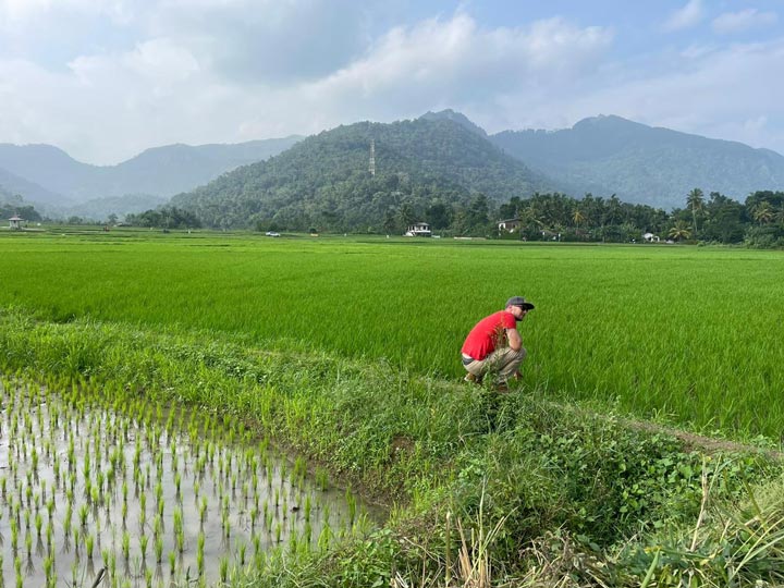 sawa travels srilanka